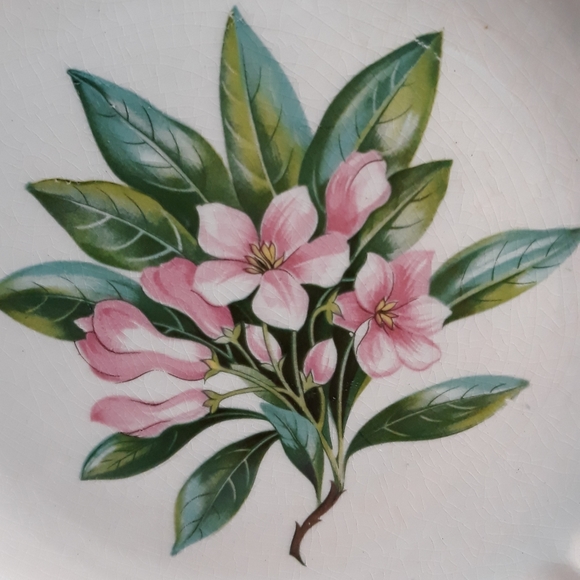 Vintage Cronin Casuals 10" Plates - Picture 2 of 4